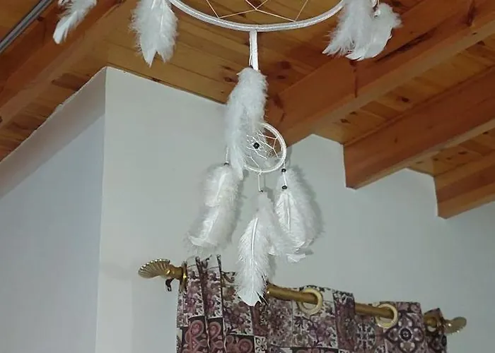 Moroohouse Elasala